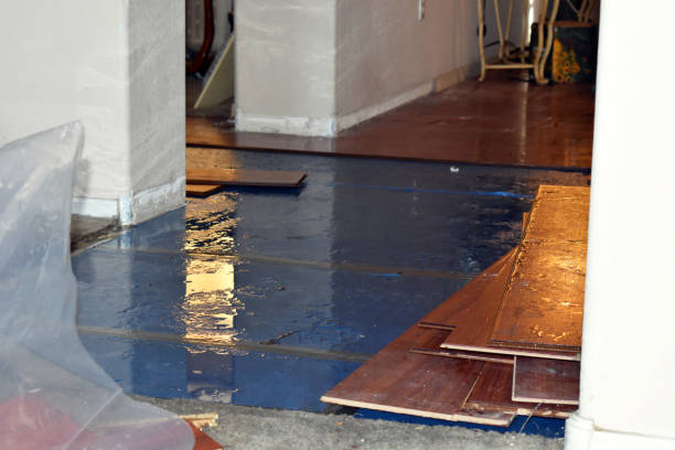Professional Sewage Cleanup technician working in Waverly, NY